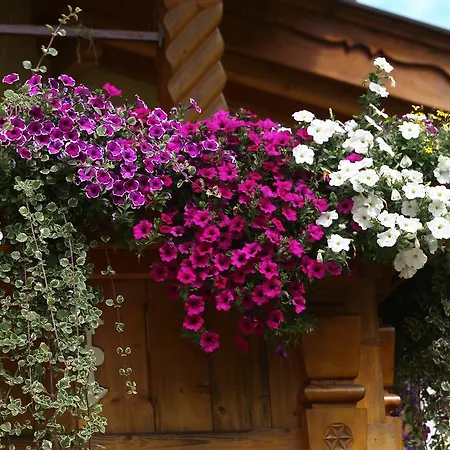 Alpenecho Neustift im Stubaital