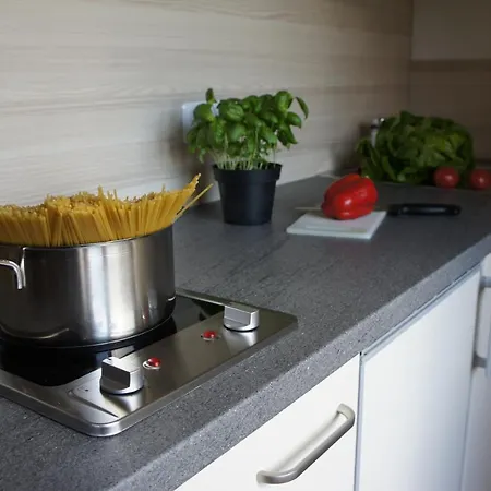 Alpenecho * 노이스티프트임스튀바이탈