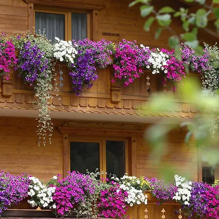 Apartment Alpenecho