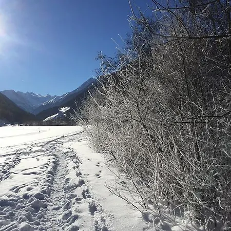 Alpenecho *