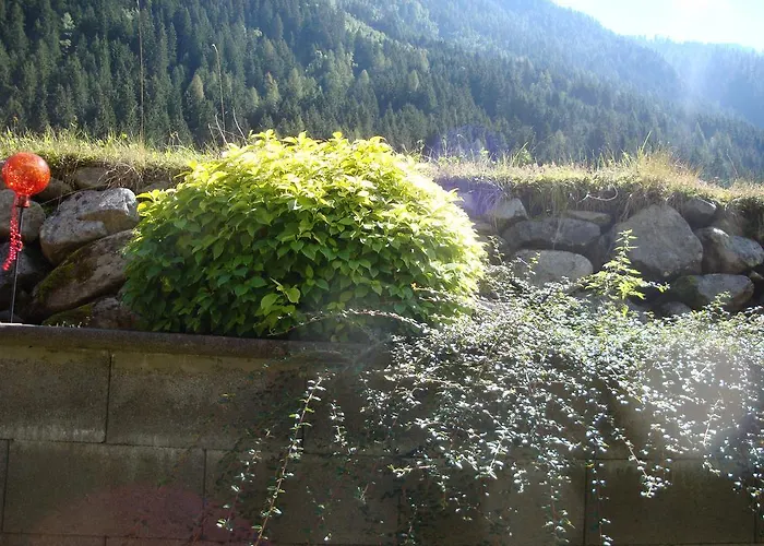 Alpenecho *