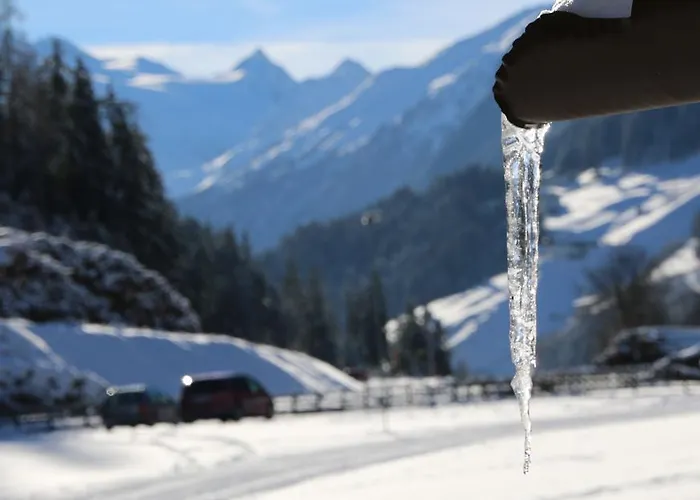 Alpenecho * Rehoboth Beach