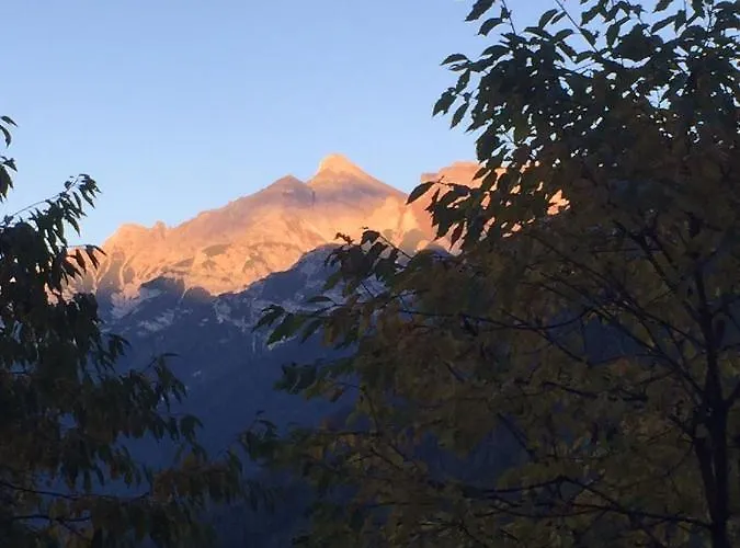 Alpenecho Rehoboth Beach