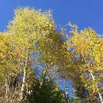 Alpenecho Neustift im Stubaital