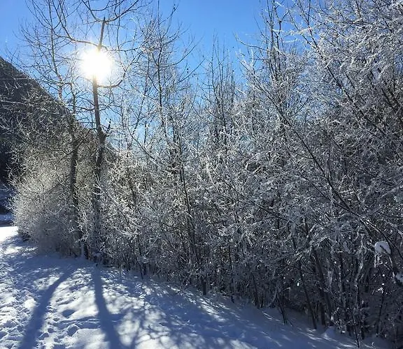 Alpenecho アパート ノイシュティフト・イム・シュトゥーバイタール